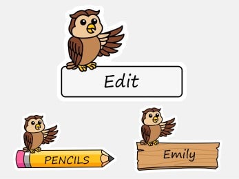 Owl labels name tags printable classroom decoration woodland animal